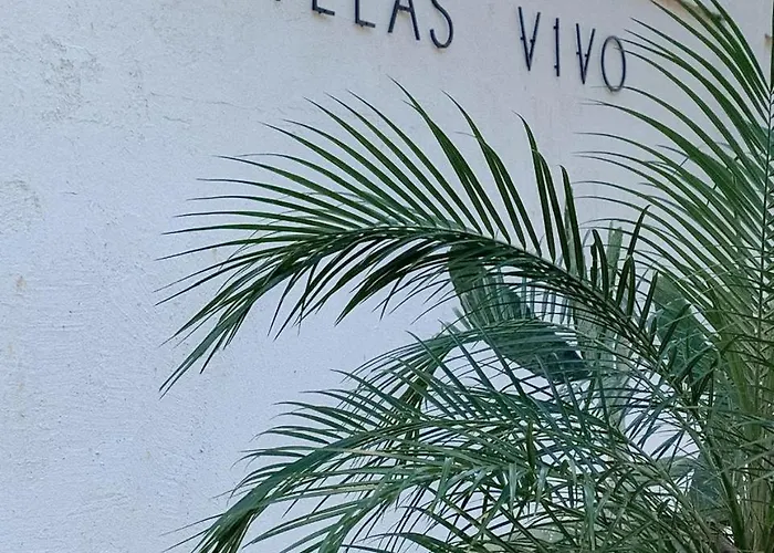 Vivo * Potrero (Guanacaste)